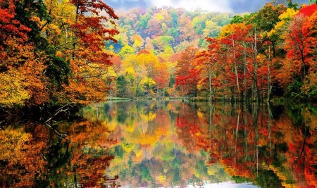 vibrant-2