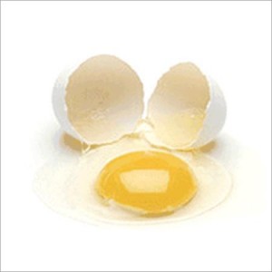 yellow-yolk