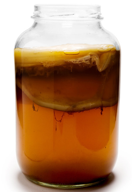 kombucha2