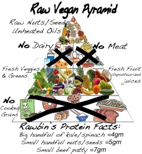 rawfoodpyramid_444x480